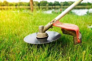 TẠi Sao XÍ NghiỆp CẦn CẮt CỎ, CẢi TẠo CẢnh Quan?