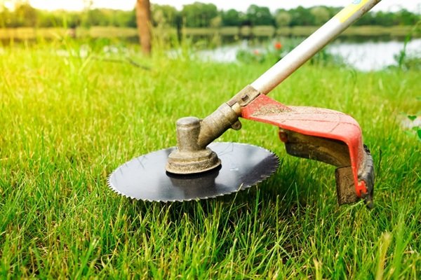 TẠi Sao XÍ NghiỆp CẦn CẮt CỎ, CẢi TẠo CẢnh Quan?