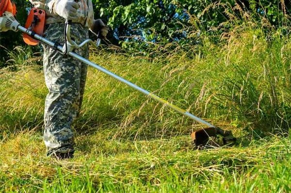 CẮt CỎ, PhÁt Quang & CẢi TẠo CẢnh Quan Cho NhÀ MÁy, XÍ NghiỆp