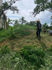 Dịch Vụ Cảnh Quan Bắc Ninh