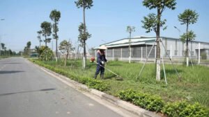 Dịch Vụ Cảnh Quan Hưng Yên