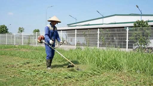 Dịch Vụ Cảnh Quan Hải Phòng
