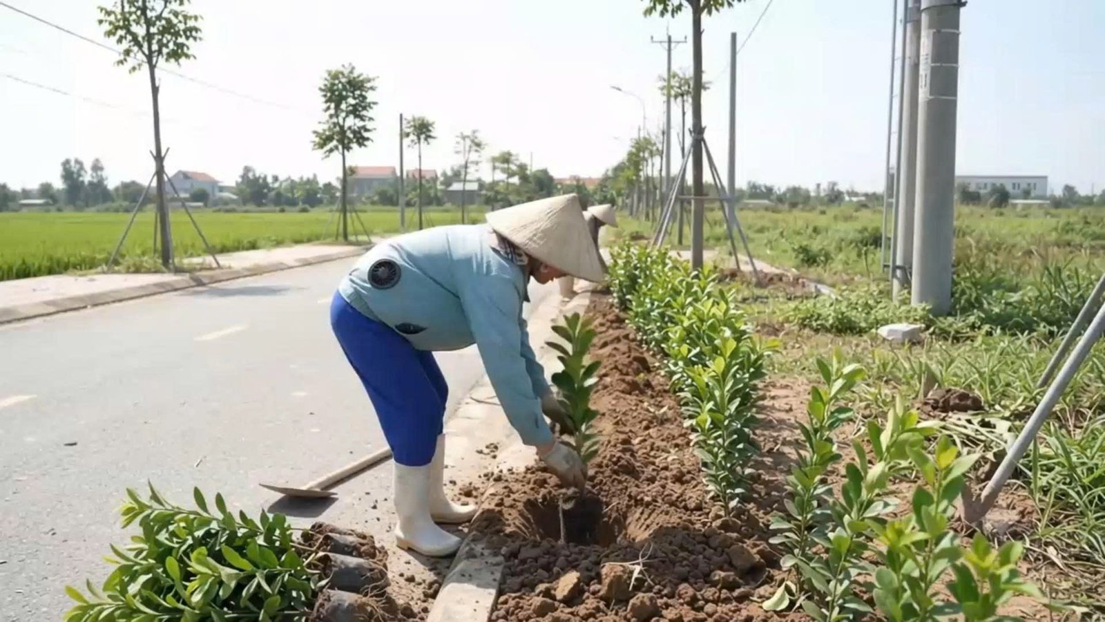 Dịch Vụ Cảnh Quan Bắc Ninh