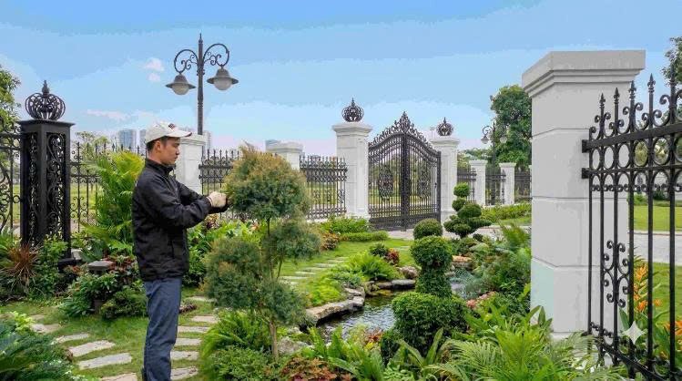 Dịch Vụ Cảnh Quan Hải Phòng