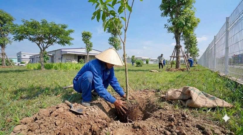 Dịch Vụ Cảnh Quan Hưng Yên