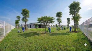 Dịch Vụ Cảnh Quan Hưng Yên